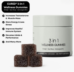 The Sanctuary Vitality Boost: Shilajit 3-in-1 Gummies