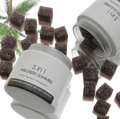 The Sanctuary Vitality Boost: Shilajit 3-in-1 Gummies