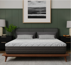 10” Essentials Comfort Reactive - Medium