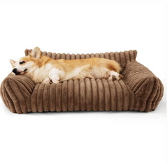 The Snoozy Dream Orthopedic Sofa Bed