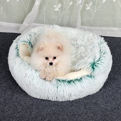 The Cloud-Cuddle 2-in-1 Convertible Pet Sanctuary