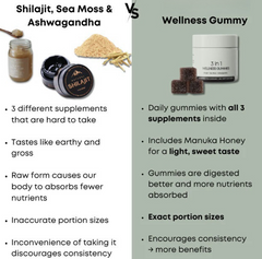 The Sanctuary Vitality Boost: Shilajit 3-in-1 Gummies
