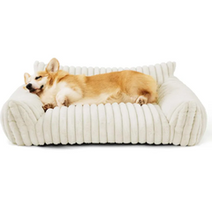 The Snoozy Dream Orthopedic Sofa Bed